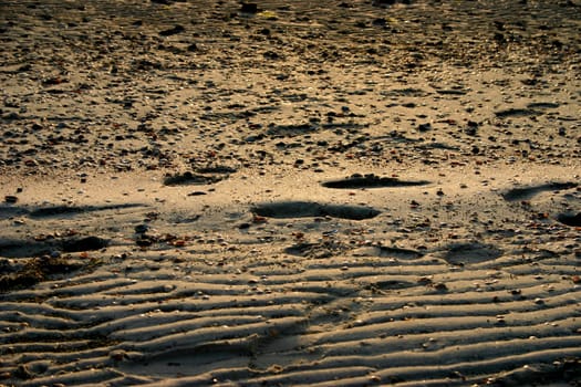 ... seen on the island of Föhr