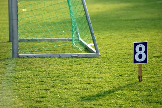 Goal with 8