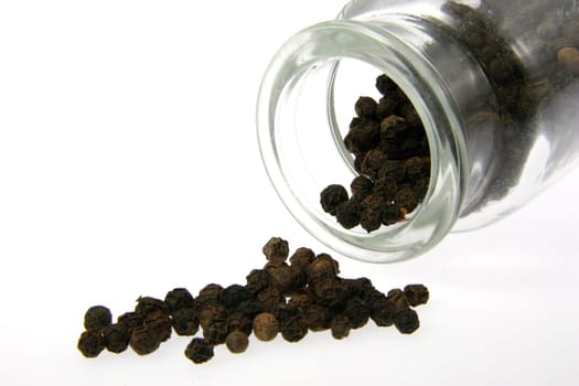 black pepper