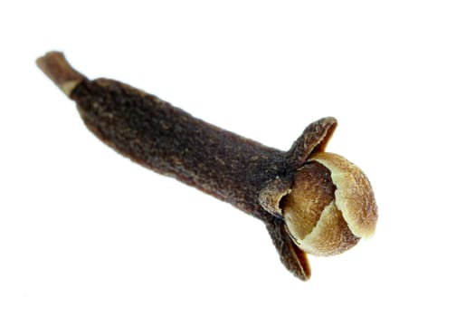 Clove