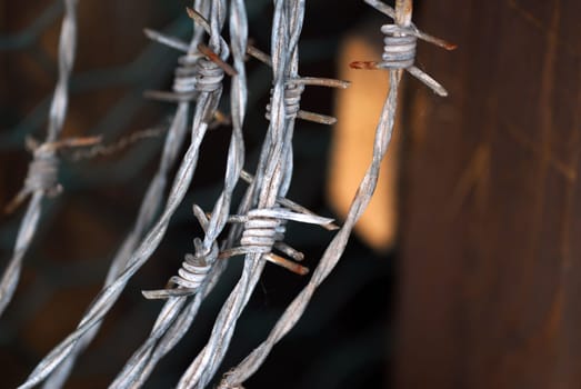 Barbed wire