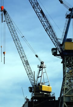 Yellow Crane2