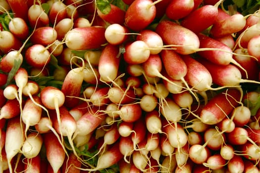 Radish