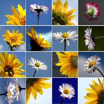 Mix Belli Sun