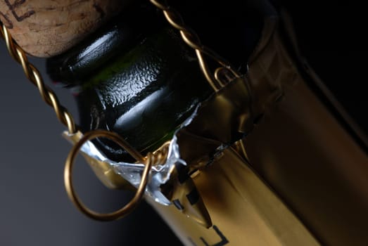 Champagne bottle detail