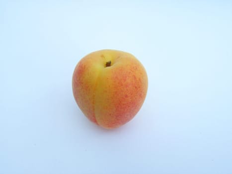 Apricot 01