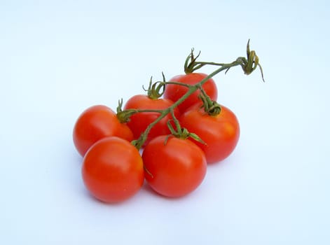 Tomato 02