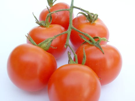 Tomato 01