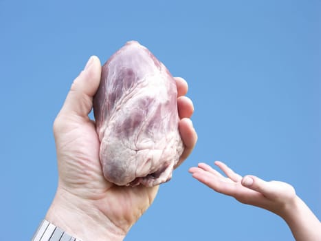 Organ donation,the heart in the hand