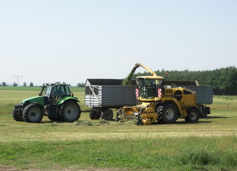 GRAND HARVESTING