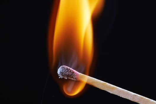 Match that has just been lit against a black background