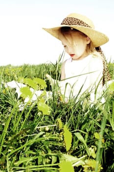 On the meadow in spring