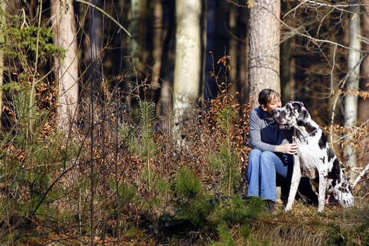 Dog Idyll