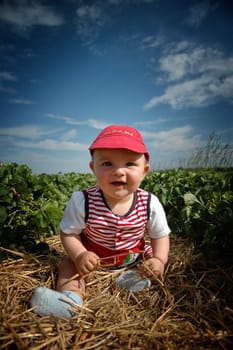 In the strawberry field