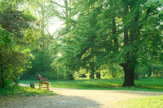 Bench in park