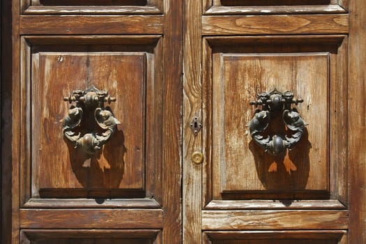 Door knocker