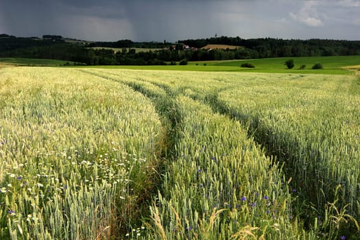 Severe weather warning