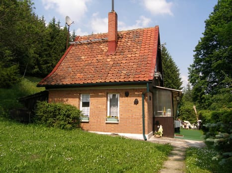 Forest House