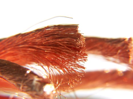 Copper wire