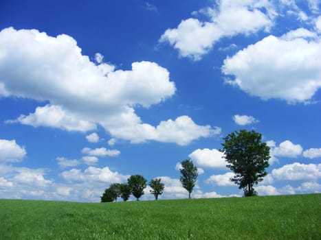 Summer day