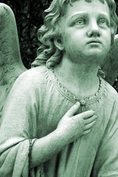 Angel