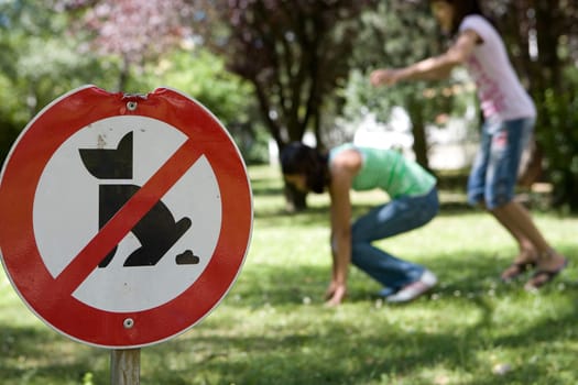 Dog poop