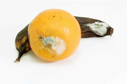 Mould