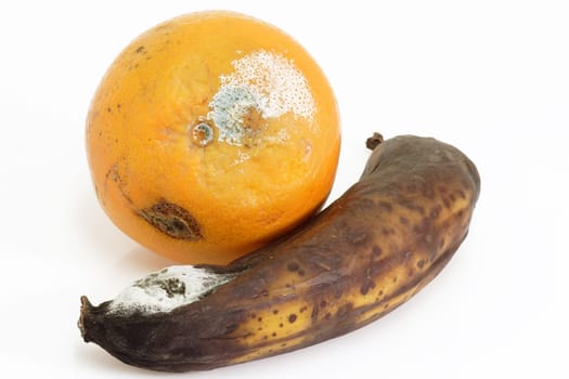 Moldy fruits