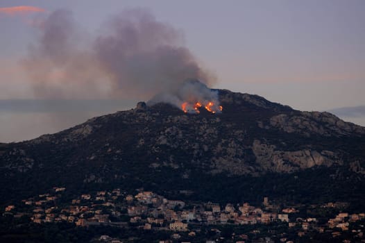 Forest fire