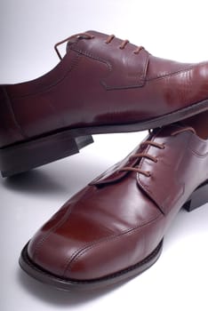 Brown leather shoes