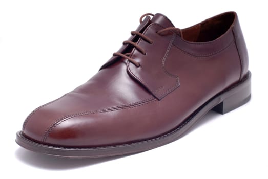Brown leather shoe