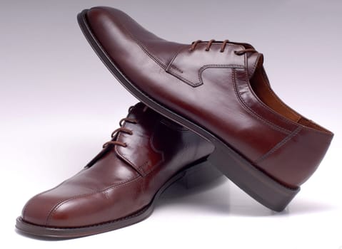 Brown leather shoes