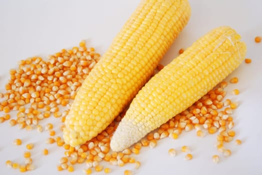 Corn