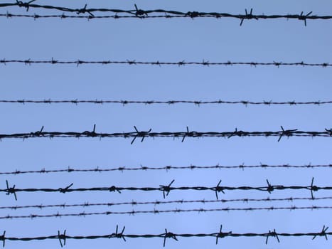Barbed wire
