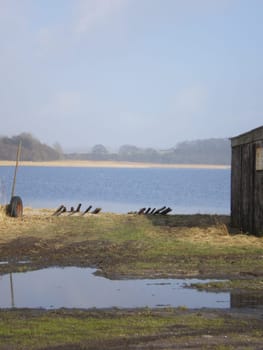 Nature on Rügen