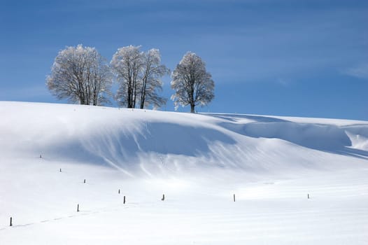 Winter Landscape 5