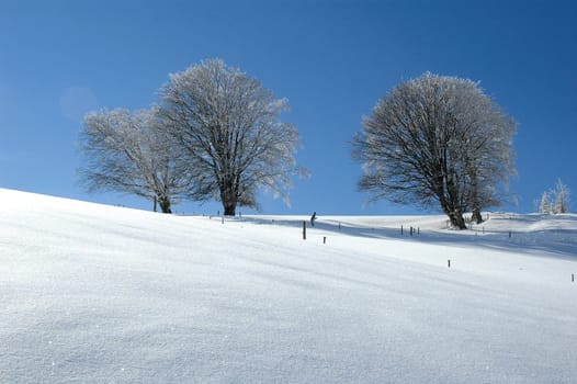 Winter Landscape 2
