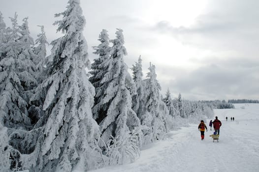 Winter Landscape 3