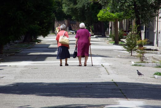 two old ladies on the road together