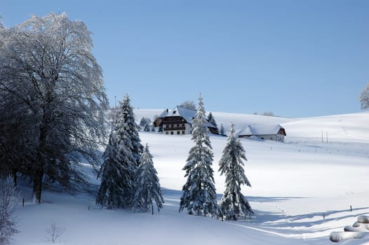 Winter Landscape 11