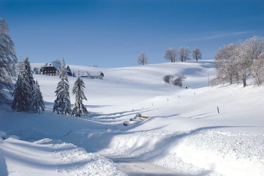 Winter Landscape 12