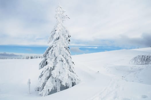 Winter Landscape 10