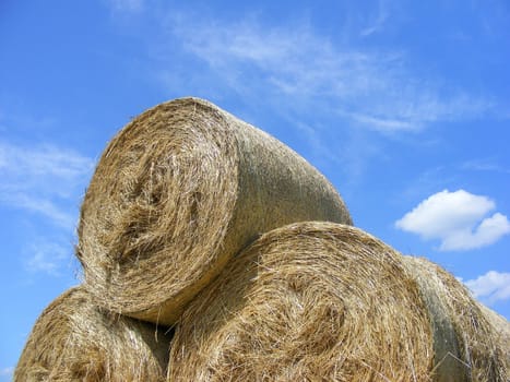 Straw rolls 2