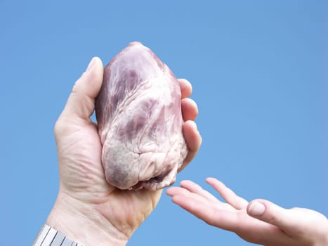 Organ donation,the heart in the hand