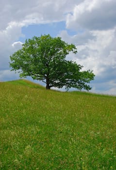 nature landscape or nature unspoiled or nature