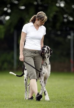 Dog training