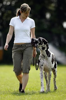 Dog training