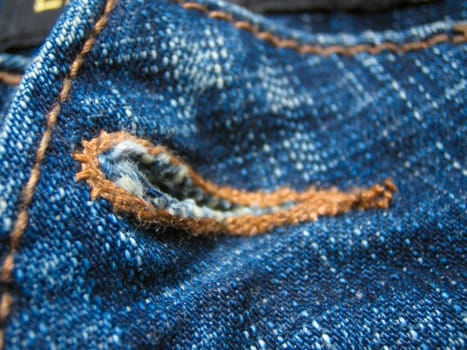 Buttonhole