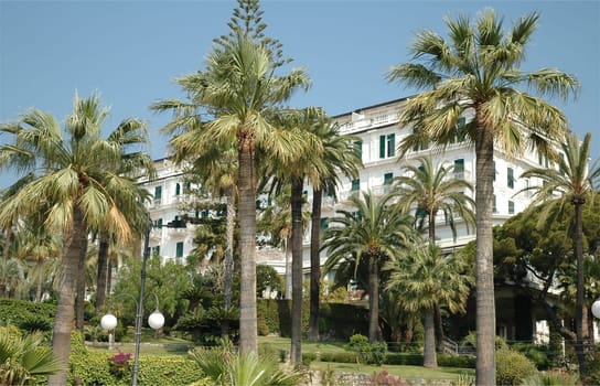 Behind palm trees