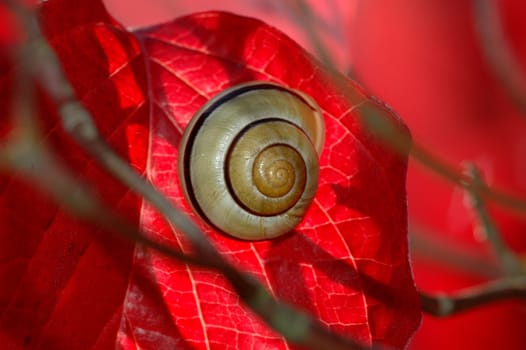 Autumn 5